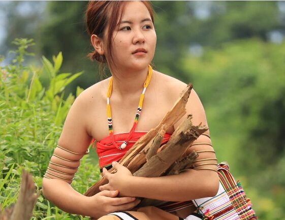 The Legend of Meiriang and Lubuannei